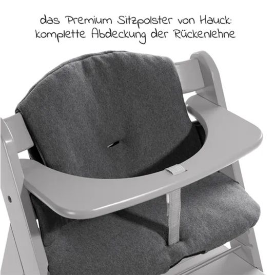Hauck Alpha Plus Grey XXL Newborn Set - Hochstuhl + 2in1 Aufsatz Bouncer & Wippe + Alpha Tray Essbrett + Sitzverkleinerer + Hochstuhlauflage - Jersey Charcoal