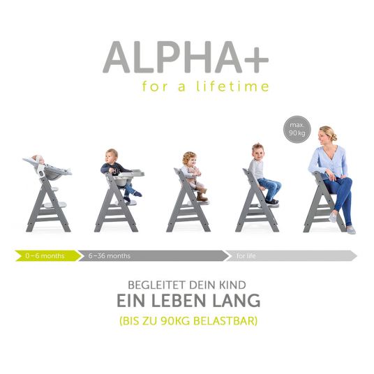 Hauck Alpha Plus Rose Newborn Set - 4-piece high chair + attachment & rocker Premium (adjustable) Nordic Grey + seat cushion
