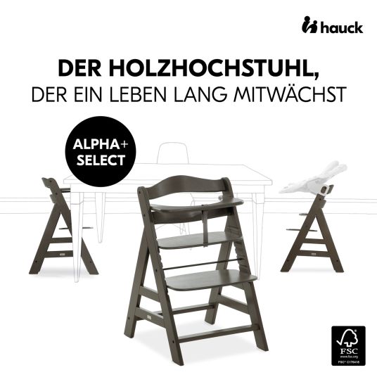 Hauck Alpha Plus Select Charcoal 4-piece newborn set Light Grey - high chair + newborn attachment & rocker + Nordic Grey seat cushion