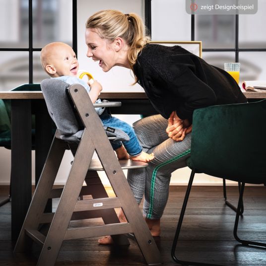 Hauck Alpha Plus Select Charcoal 4-piece Newborn Set Disney Pooh - high chair + newborn attachment + seat cushion Beige