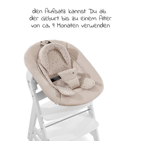 Hauck Alpha Plus Select Charcoal 4-tlg. Newborn Set Disney Pooh - Hochstuhl + Neugeborenenaufsatz + Sitzkissen Beige