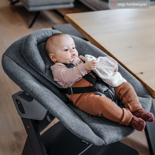 Hauck Alpha Plus Walnut 4-piece Newborn Set Dark Grey - highchair + newborn insert & Premium rocker + seat cushion