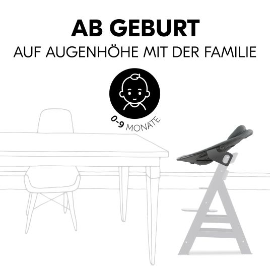 Hauck Alpha Plus Walnut 4-piece Newborn Set Dark Grey - highchair + newborn insert & Premium rocker + seat cushion