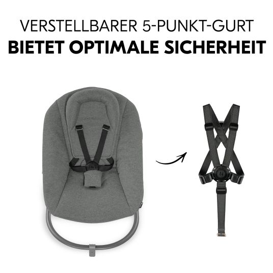 Hauck Alpha Plus Walnut 4-tlg. Newborn Set Dark Grey - Hochstuhl + Neugeboreneneinsatz & Wippe Premium + Sitzkissen