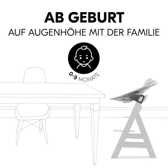 Hauck Alpha Plus Walnut 4-piece Newborn Set Light Grey- high chair + newborn insert & rocker Premium + seat cushion Nordic Grey