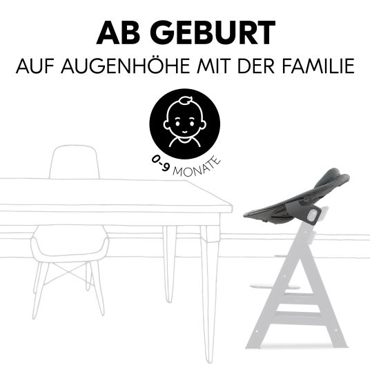 Hauck Bouncer 2in1 Premium (verstellbarer Neugeborenenaufsatz & Wippe) für Alpha & Beta Hochstuhl - Dark Grey