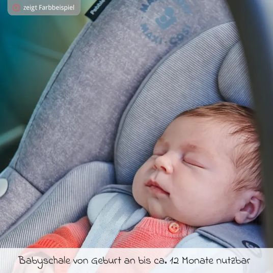 Hauck Buggy Shop N Care incl. car seat Pebble Pro - Dusty Blue