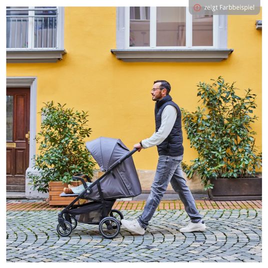 Hauck Buggy Shop N Care inkl. Autositz Pebble Pro - Dusty Blue