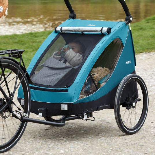 Hauck Fahrradanhänger Sparset Dryk Duo für 2 Kinder (bis 44 kg) - Bike Trailer & City Buggy - inkl. Babysitz Lounger & Schutzpaket - Grey
