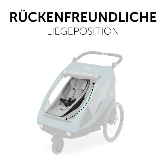 Hauck Fahrradanhänger Sparset Dryk Duo für 2 Kinder (bis 44 kg) - Bike Trailer & City Buggy - inkl. Babysitz Lounger & Schutzpaket - Rose
