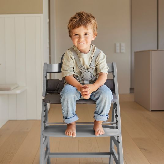 Hauck Alpha Plus High Chair - Grey