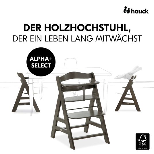 Hauck Hochstuhl Alpha Plus Select Charcoal - im Sparset inkl. Sitzkissen Nordic Grey + 2 Silikonteller