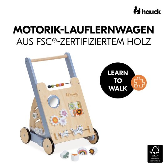 Hauck Lauflernwagen / Sortierwagen Learn To Walk Skills - mit vielen Motorik Spielen