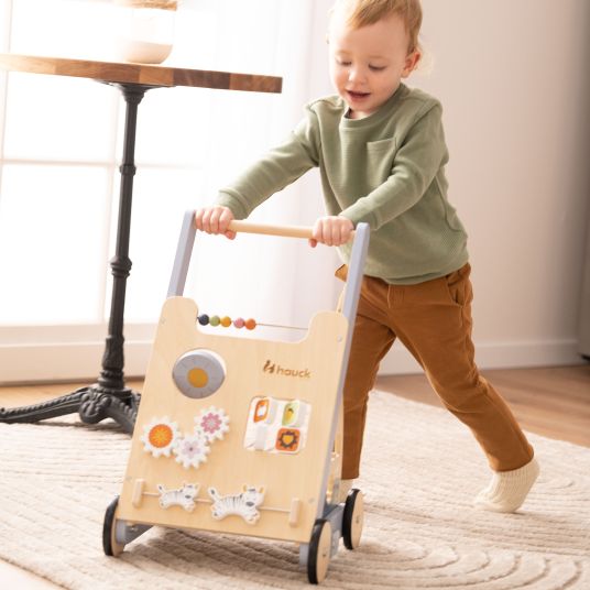 Hauck Learning to walk trolley / sorting trolley Learn To Walk Skills - with lots of motor skills games