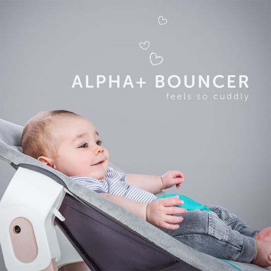 Hauck Neugeborenenaufsatz & Wippe für Alpha Hochstuhl - Bouncer 2in1 - Hearts Grey
