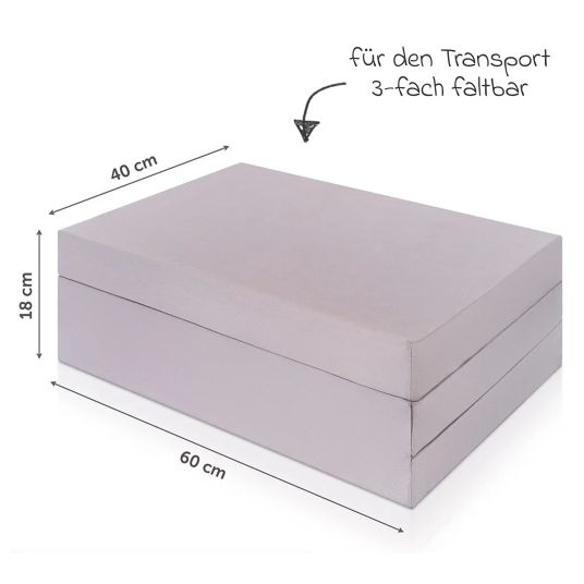 Hauck Reisebett XXL-Sparset - Dream`n Play inkl. Alvi Reisebett-Matratze + Wasserdichte Betteinlage + 2 Spannbettlaken + Insektenschutz - Beige