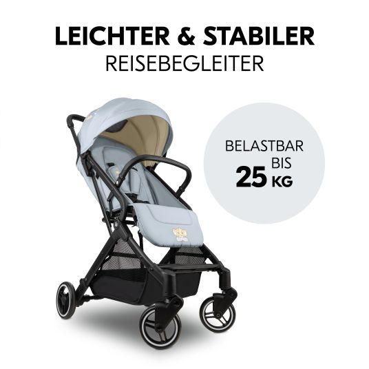 Hauck Passeggino Travel N Care con funzione reclinabile, solo 6,8 kg (capacità di carico fino a 22 kg) - Simba