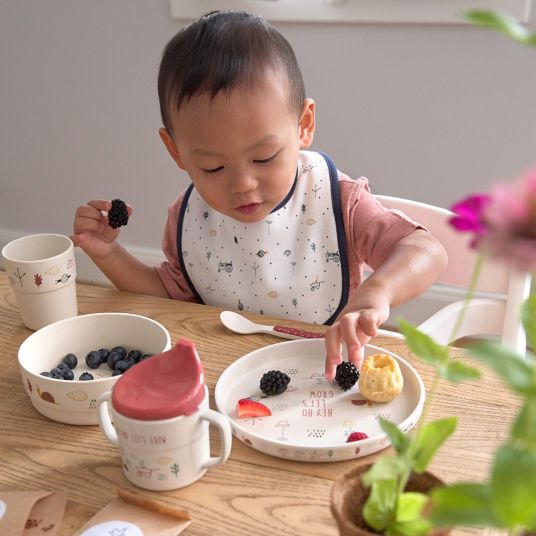 Kombi Tischset 5 Teile faser Bambus Baby Kind Geschirr Teller 