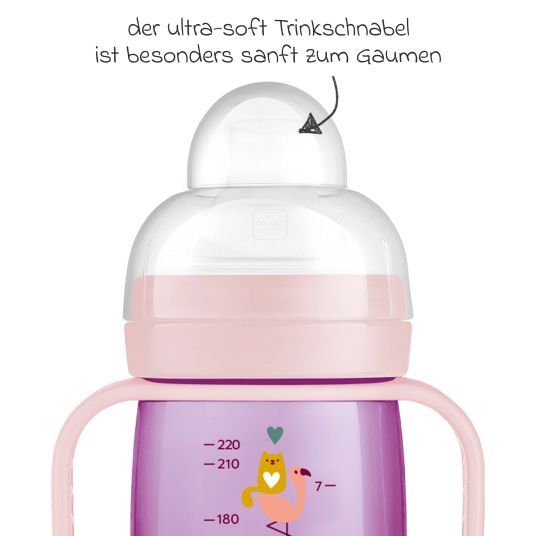 MAM PP-Flasche Trainer + 220 ml - Lila & Rosa