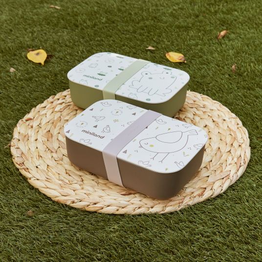 Miniland Brotdose / Lunchbox naturlunch - eco friendly - Frog