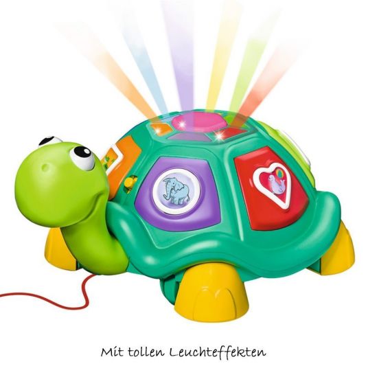 Ministeps Learning fun turtle 5-in-1