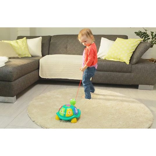Ministeps Learning fun turtle 5-in-1