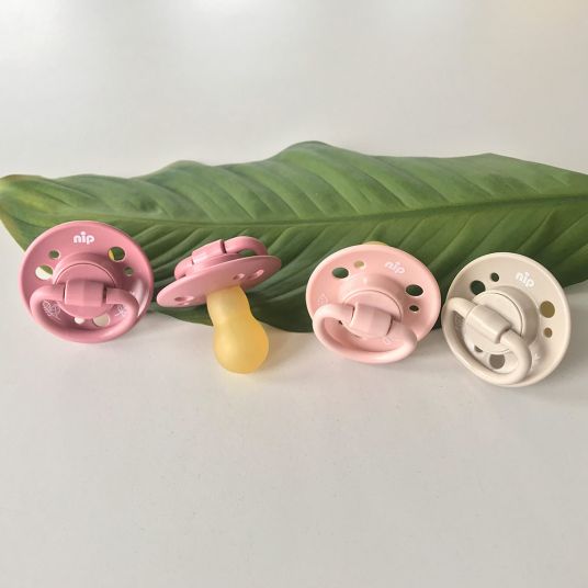 Nip Eco pacifier 4-pack Cherry Green - latex from 6 m - made from renewable resources - Girl