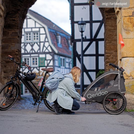 Qeridoo Rimorchio per bici e passeggino QUPA 2 per 2 bambini con aggancio, sistema di ammortizzazione a balestra (fino a 60 kg) - Grigio