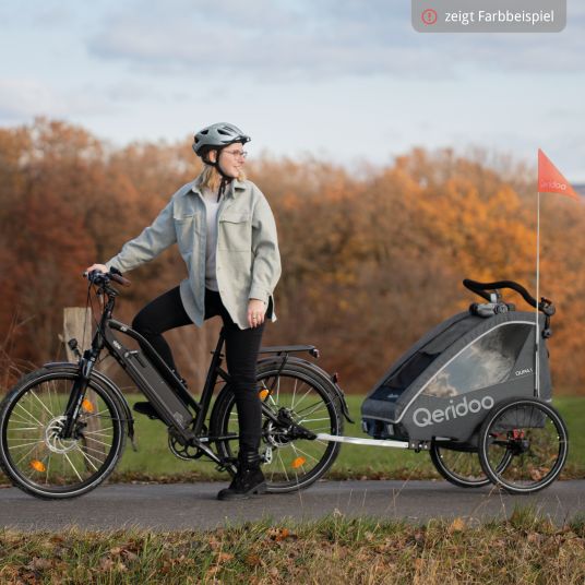 Qeridoo Rimorchio per bici e passeggino QUPA 2 per 2 bambini con aggancio, sistema di ammortizzazione a balestra (fino a 60 kg) - Grigio