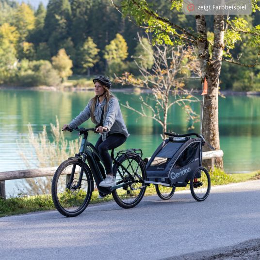 Qeridoo Rimorchio per bici e passeggino QUPA 2 per 2 bambini con aggancio, sistema di ammortizzazione a balestra (fino a 60 kg) - Grigio