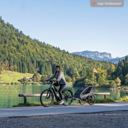 Qeridoo Rimorchio per bici e passeggino QUPA 2 per 2 bambini con aggancio, sistema di ammortizzazione a balestra (fino a 60 kg) - Grigio