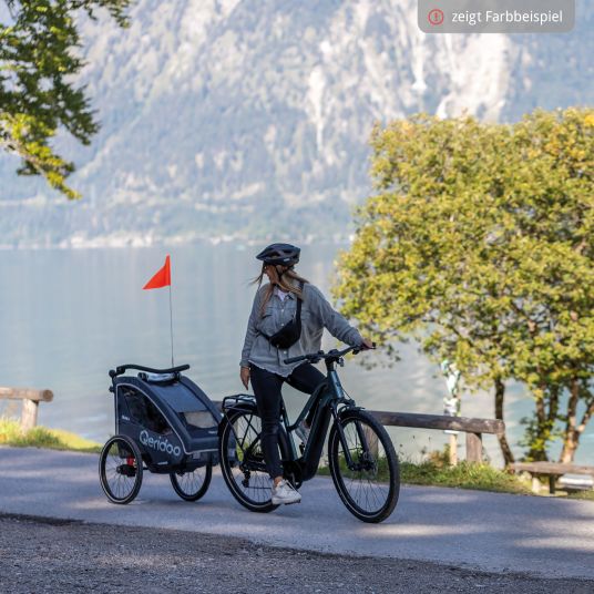 Qeridoo Rimorchio per bici e passeggino QUPA 2 per 2 bambini con aggancio, sistema di ammortizzazione a balestra (fino a 60 kg) - Grigio