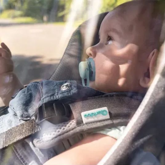 Qeridoo Kinderfahrradanhänger & Buggy QUPA 2 für 2 Kinder mit Kupplung, Blattfeder-Dämpfsystem (bis 60 kg) - Blue