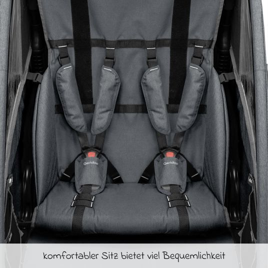 Qeridoo Kinderfahrradanhänger & Buggy QUPA 2 für 2 Kinder mit Kupplung, Blattfeder-Dämpfsystem (bis 60 kg) - Blue