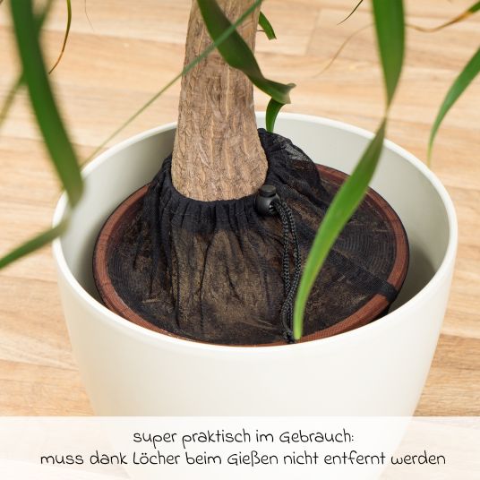 Reer Pack of 3 plant protection nets for flower pots with a diameter of up to 30 cm - Black