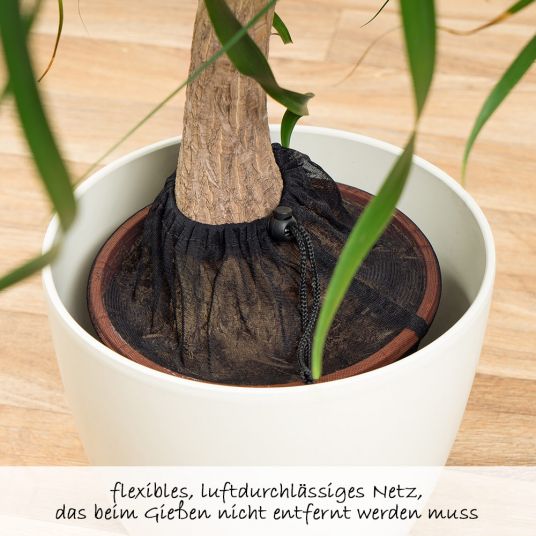 Reer Rete di protezione delle piante 30 cm - Nero