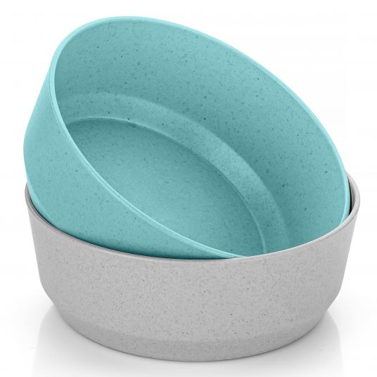 Reer Bowl 2 Pack Growing from sustainable raw materials - Turquoise Gray