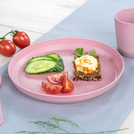 Reer Plate 2 pack Growing from sustainable raw materials - Pink