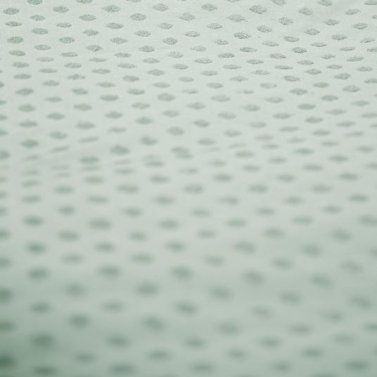 Roba Biancheria da letto 2 pezzi bio 100 x 135 cm / 40 x 60 cm - Lil Planet - Frosty Green