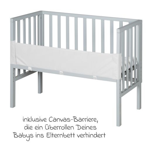 Roba 6-tlg. Beistellbett-Komplett-Set mit Canvas-Barriere, Matratze 90 x 45 cm, Spannbetttuch, 2-tlg-Schlafsack, Schmusetuch & Spieluhr 47 x 99,5 cm - Taupe