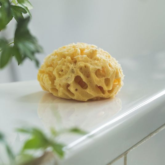 Rotho Babydesign BIO Mediterranean natural sponge