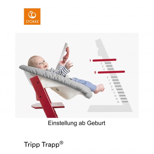 Stokke Mitwachsender Treppenhochstuhl Tripp Trapp® Buchenholz lackiert - Storm Grey / Grau