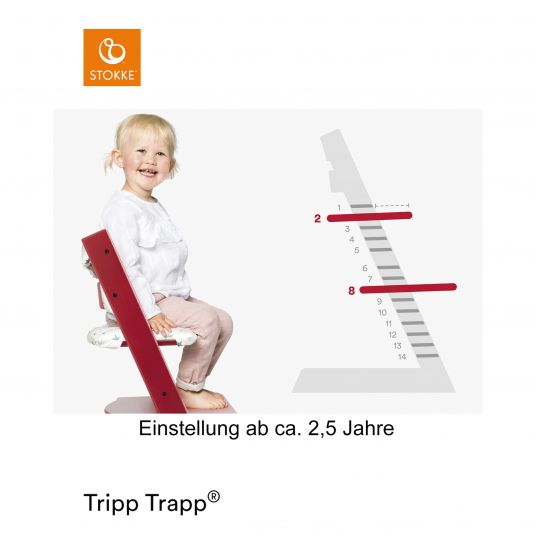 Stokke Mitwachsender Treppenhochstuhl Tripp Trapp® Buchenholz lackiert - Storm Grey / Grau