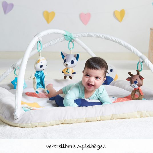 Tiny Love Play blanket Gymini Plush - Polar Wonders