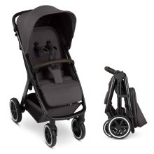 Buggy & pushchair Avus 2 Air with pneumatic wheels, one-hand folding and height-adjustable push bar - Falcon