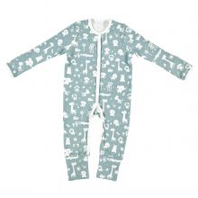 Schlafanzug Pyjama Organic Cotton - Animals