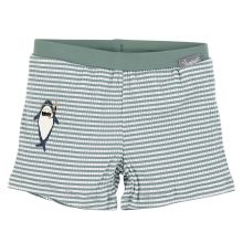 Swim diaper shorts LSF - Shark - Green - Size 74/80